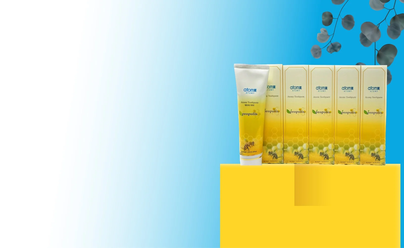 Atomy Toothpaste Price Bangladesh